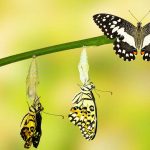What You Absolutely Must Do to Change Your Reality What You Absolutely Must Do to Change Your Reality