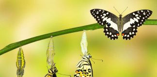 What You Absolutely Must Do to Change Your Reality
