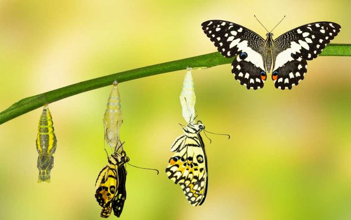 What-You-Asbolutely-Must-Do-to-Change-Your-Reality What You Absolutely Must Do to Change Your Reality