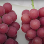 Find Out Why These Japanese Grapes Can Cost Up to $450