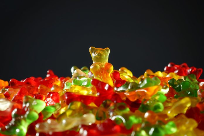 gold-bear-gummi-bears-bear-yellow-55825